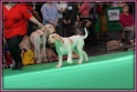 09-03-12 M GoodAsGold_IMG_9683
